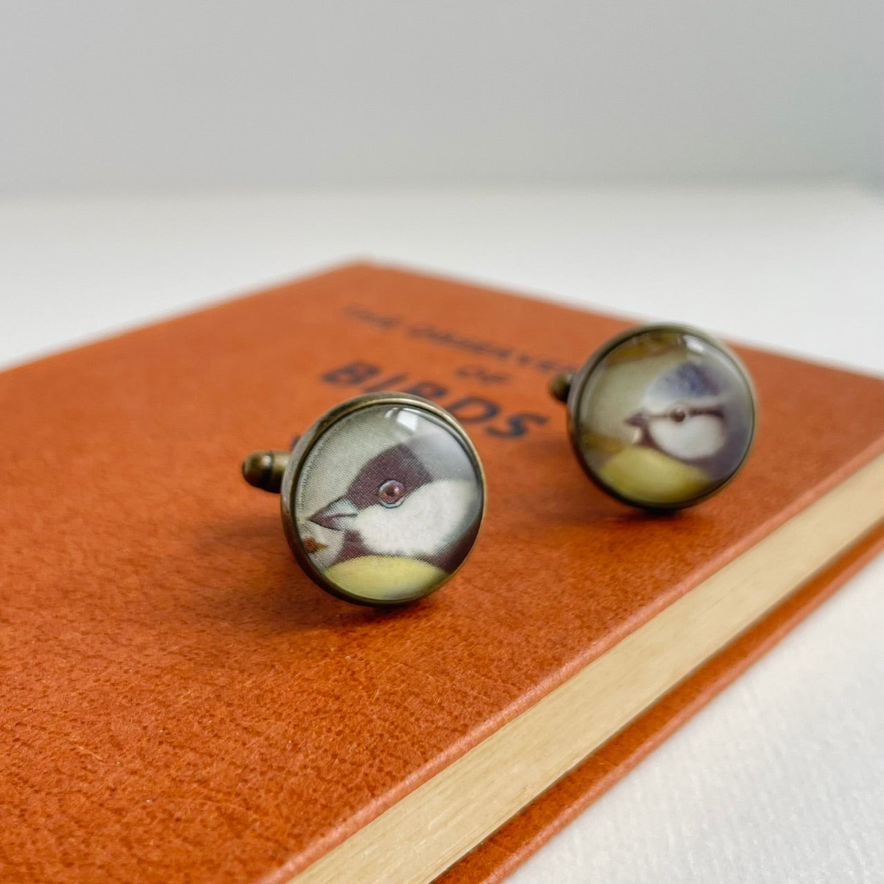 Circular bronze plated cufflinks set with vintage illustrations of british garden birds, under glass. They are against a white background