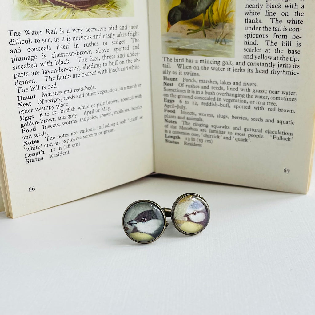 Circular bronze plated cufflinks set with vintage illustrations of british garden birds, under glass. They are against a white background