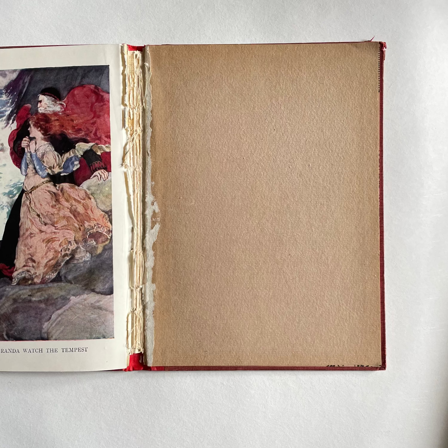 Open book with a textured page and a colorful illustration on a white background