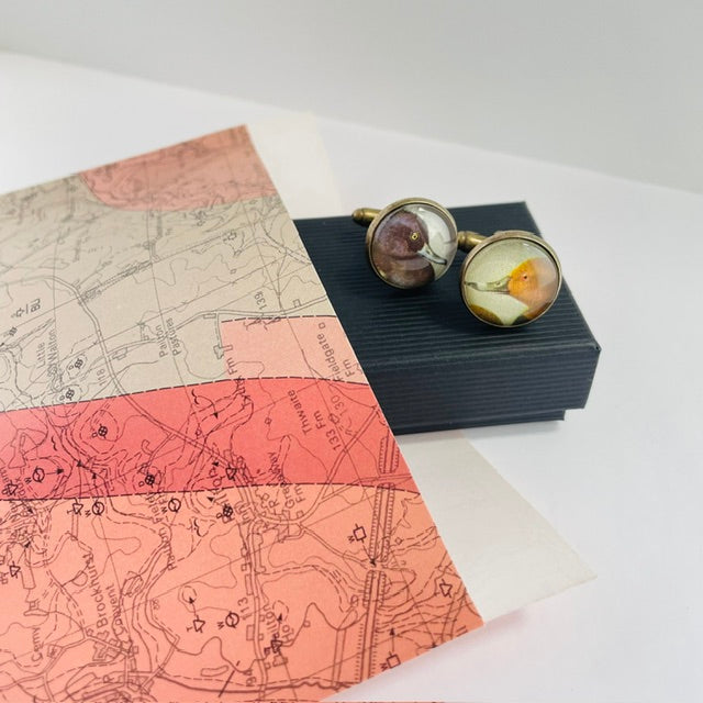Bronze round cufflinks with an illustration of a duck, taken from a bird identification book, on a cufflinks box
