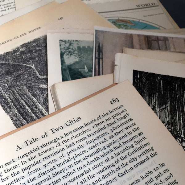 Ephemera Pack - Antique and Vintage Novels and Books